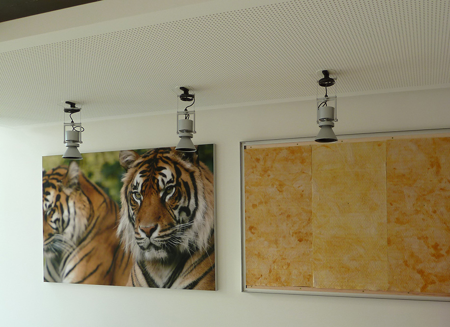 Photo cadres acoustiques muraux imprimées animaux Chopard