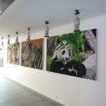 Photo cadres acoustiques muraux imprimées animaux Chopard