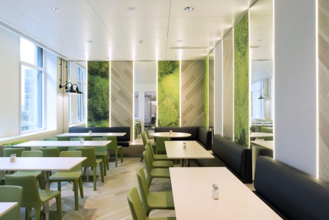 murs acoustiques imprimés visuel mousse