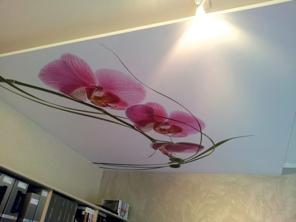 photo d'un cadre décoration avec le visuel d'une orchidée, fixé au plafond