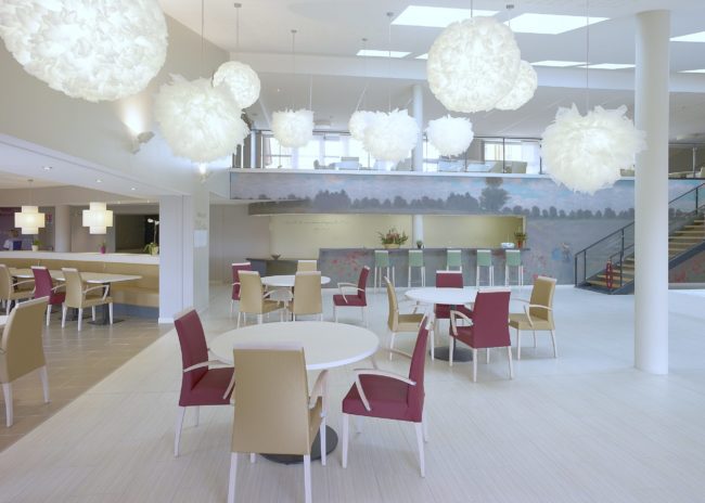 mur imprimé des Coquelicots de Monet