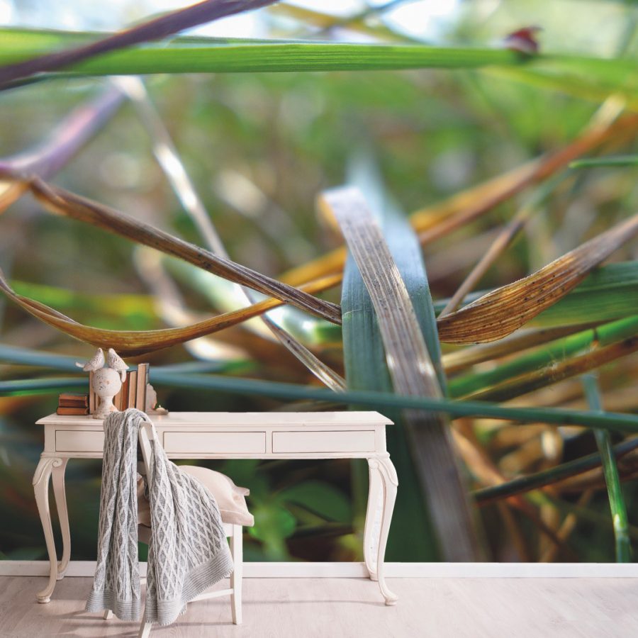 photo d'un mur imprimé avec des visuels d'herbes derrière un bureau