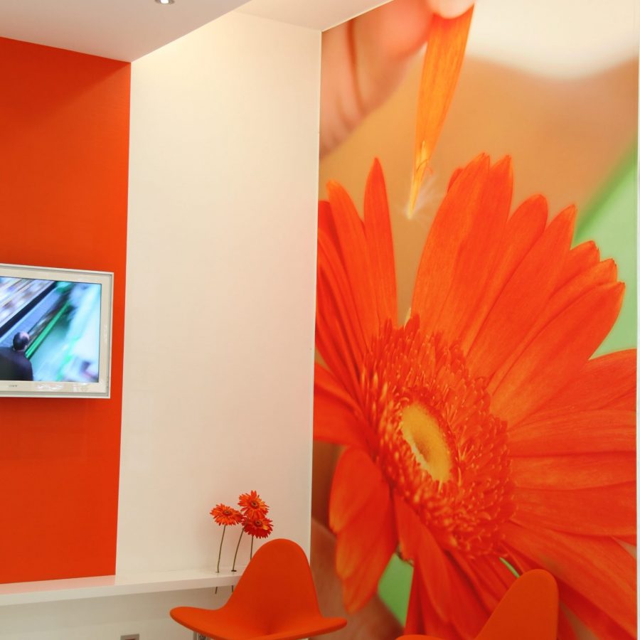 photo d'un mur imprimé avec un gerbera orange dans une salle d'attente