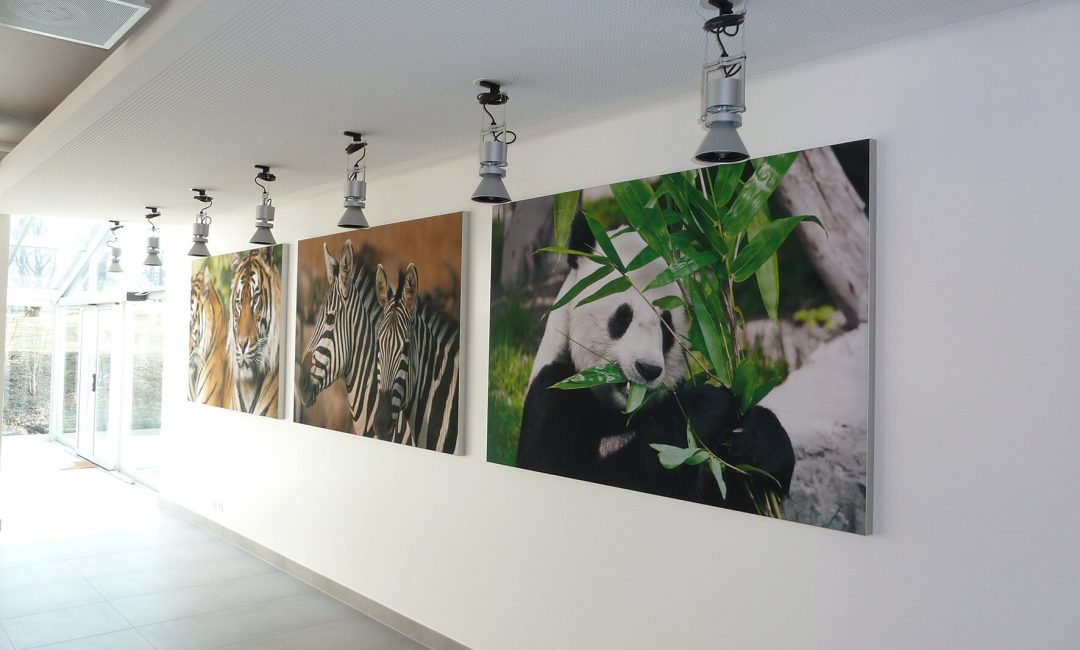 printed acoustic wall frames