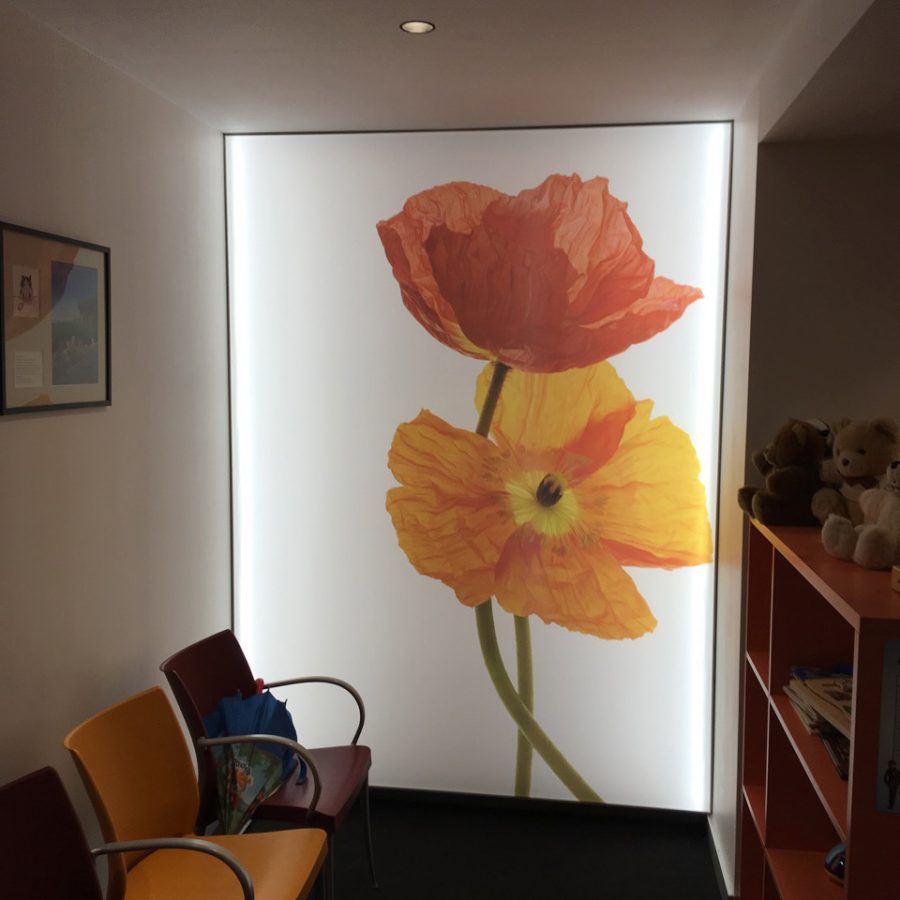 photo d'un mur rétroéclairé avec un visuel de fleurs orange par Michel Gantner